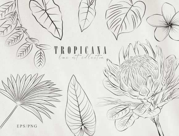 Enhance Your Creative Projects with the Line Art Tropical Plants Clipart Set