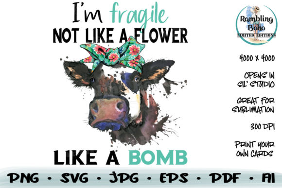 Fragile Like a Bomb: A Modern Design for Versatile Use