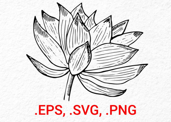 Lotus Flower Sketch: Elegant Design for Every Need