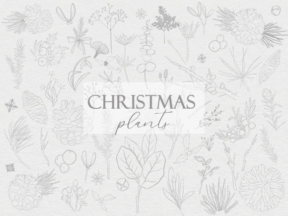 Maximize Your Holiday Creativity with Line Christmas Plants