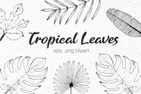 Tropical Leaves Sketch Set Hand Drawn: A Versatile Design Resource for Creators and Businesses