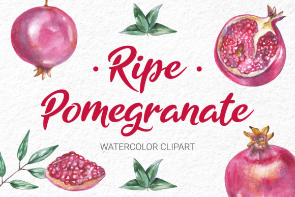 Watercolor Pomegranate Clipart Collection: A Versatile Resource for Creative Projects